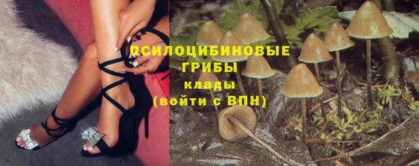 стаф Алзамай