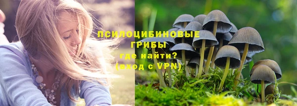 таблы Алексин