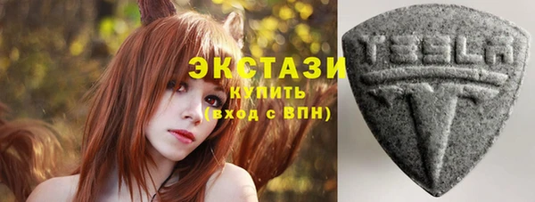 стаф Алзамай