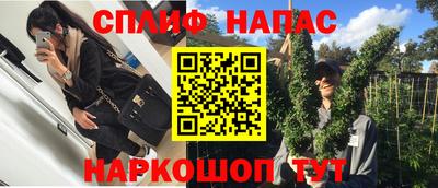 ГАЛЛЮЦИНОГЕННЫЕ ГРИБЫ Балахна