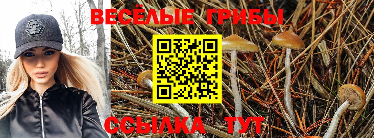 Галлюциногенные грибы мицелий  Вход с VPN  Избербаш  Галлюциногенные грибы прущие грибы 